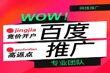 媒体平台的信息流广告代理服务案例探讨